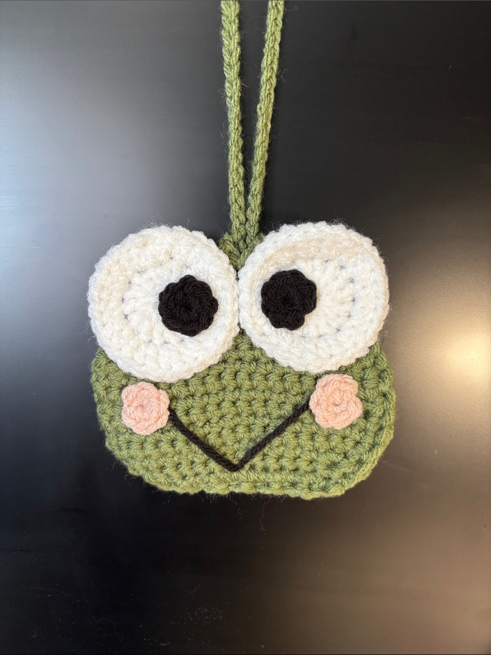 Handmade Green Frog Crochet EarPod case/Purse